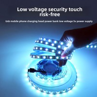 Vente en gros de lumières colorées à basse tension 5V, USB, autocollantes, pour fond mural, bricolage, bureau d'ordinateur, lumière d'ambiance LED flexible, TV
