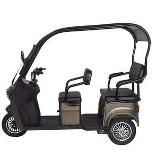 Nuevo Diseño, Triciclo de 3 Ruedas para Adultos, 800W, 60V, con Techo, en Venta - Product Image 6
