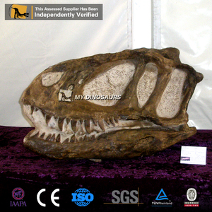 Mon Dino En Fiber De Verre Résine Grand dinosaure Allosaurus Tête crâne Réplique Dans le Hall D'exposition - Product Image 6