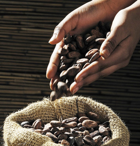 Caramelos <span class=keywords><strong>de</strong></span> Chocolate con Sabor a Fruta, Caramelos <span class=keywords><strong>de</strong></span> Chocolate con Manteca <span class=keywords><strong>de</strong></span> Cacao Pura, Ingrediente para Hornear, Caramelos Decorativos para Pasteles - Product Image 6