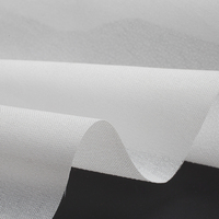 Entoilage non tissé double point fusible à chaud, enduit PES, adhésif élastique 100% polyester, personnalisé par l'usine Xiang Xing