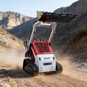 Minicargadora Diesel Somate de Fabricación China en Oferta, Motor EPA de Alta Eficiencia, Cucharón de 0.2m, Bomba con 2 Años de Garantía - Product Image 6