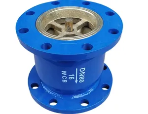 Check Valve Product Nuzhuo DN50 Stainless Steel/Cast Steel/CF8/WCB Flange Slient Check Valve Flow Control Valve