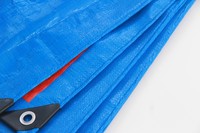 4m 6m Produits Bâche de bâche agricole et industrielle Bâche agricole en plastique Fabricant
