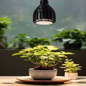 Lampe <span class=keywords><strong>à</strong></span> spectre complet 30W pour plantes vertes Lumière de remplissage Araceae <span class=keywords><strong>Fleurs</strong></span> Succulentes Croissance des racines Projecteur Bougie <span class=keywords><strong>plante</strong></span> Ampoule de <span class=keywords><strong>soleil</strong></span> - Product Image 1