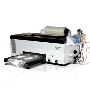 Dijital 30cm 33cm mürekkep püskürtmeli tişört baskı makinesi isı transferi Pet Film TX800 Dtf yazıcı