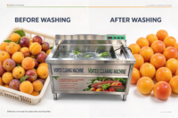 vortex fruit- en groentewasmachine, ozonontsmetting, commercieel gebruik