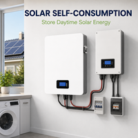 Batterie LiFePO4 murale 51,2 V 100 Ah 5,12 kWh, système de stockage d'énergie solaire 6000 cycles, pack de stockage d'énergie solaire domestique 5 kWh 16S1P