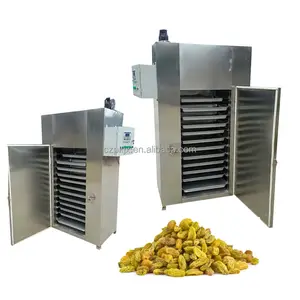 Roestvrijstalen Hoge Efficiëntie Mango Droger Machine Fruit Drogen Machines Voedsel Dehydrator Machine