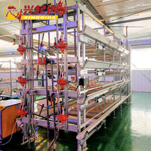 Nouveau système de cage à poulets de type H avec construction en acier Q235 et garantie d'un an pour des conditions d'élevage optimales - Product Image 2