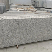 Chine rentable granit pierre pierre naturelle gris clair G602 granit escalier escalier granit marches d'escalier pour projet