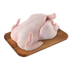 Poulet entier congelé de haute qualité, grade A, traité BQF, durée de conservation de 24 mois, vente en gros, approvisionnement en vrac, directement de l'usine au Brésil - Product Image 1