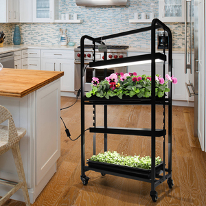 Étagère de culture hydroponique intérieure à 2 niveaux, réglable en hauteur, avec roulettes, structure en fer, pour jardin domestique, avec LED de culture 48W 6500K - Product Image 1