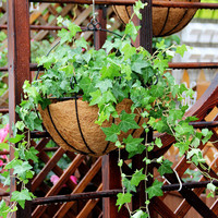 Pot de fleurs en métal, panier suspendu pour plantes avec doublure en fibre de coco, taille personnalisée, porte-plantes rond en fil métallique, panier chinois en fer noir