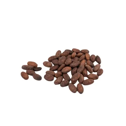 Fava di cacao non tostata Ghana dall'Africa occidentale di cacao in polvere di alta qualità direttamente dalla Cina