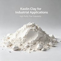 Metakaolin, argile de kaolin calciné pour béton, ciment, matériau pozzolana de haute résistance, fournisseur de qualité construction