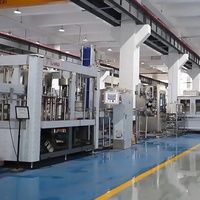 Machine de remplissage et de bouchage monobloc 3-en-1 pour eau minérale, 12000 BPH, 500 ml, automatique