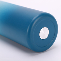 Bouteille d'eau isotherme en acier inoxydable écologique de 600/900 ml, isolation thermique de 12 à 24 heures, forme de balle, avec support pour téléphone