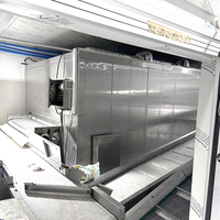 Hoogwaardig automatisch IQF-vriesysteem met een capaciteit van 500 kg/uur, blastvriezertunnel voor voedselverwerkingsfabrieken