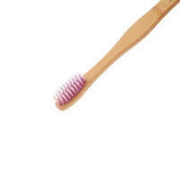 Fabricants célèbres 100% organique biodégradable écologique en bambou avec logo personnalisé brosse à dents