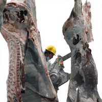 Projet clé en main d'abattoir bovin : Fourniture de machines d'abattage automatique de bovins, équipement d'abattage halal pour vaches