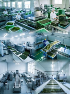 Vente en gros directe d'usine de rouleaux de <span class=keywords><strong>sushi</strong></span> biologiques japonais de qualité supérieure algues grillées nori séchées mousse de mer or emballage de collation - Product Image 6