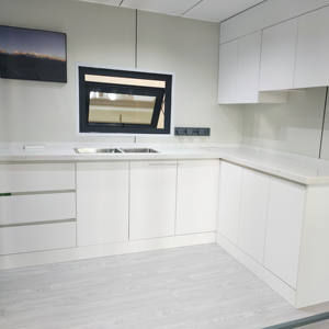 Сборный дом, передвижная космическая капсула, яблочная каюта, 40 футов, индивидуальный Открытый Кемпинг, современный роскошный отель, живущий крошечный яблочный стручок - Product Image 5