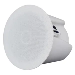 Professional Two-Way High Definition HIFI Speaker Ceiling Speaker