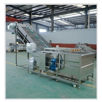 Automatische groentewasinstallatie met vortextechnologie, industriële oplossing voor het reinigen van fruit en groenten, te koop.