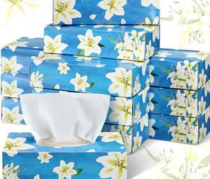 Pañuelos faciales 2 capas 100 hojas/caja, suave y duradero, cajas planas de pañuelos faciales para negocios, hogar, oficina, tienda, Viajes - Product Image 6