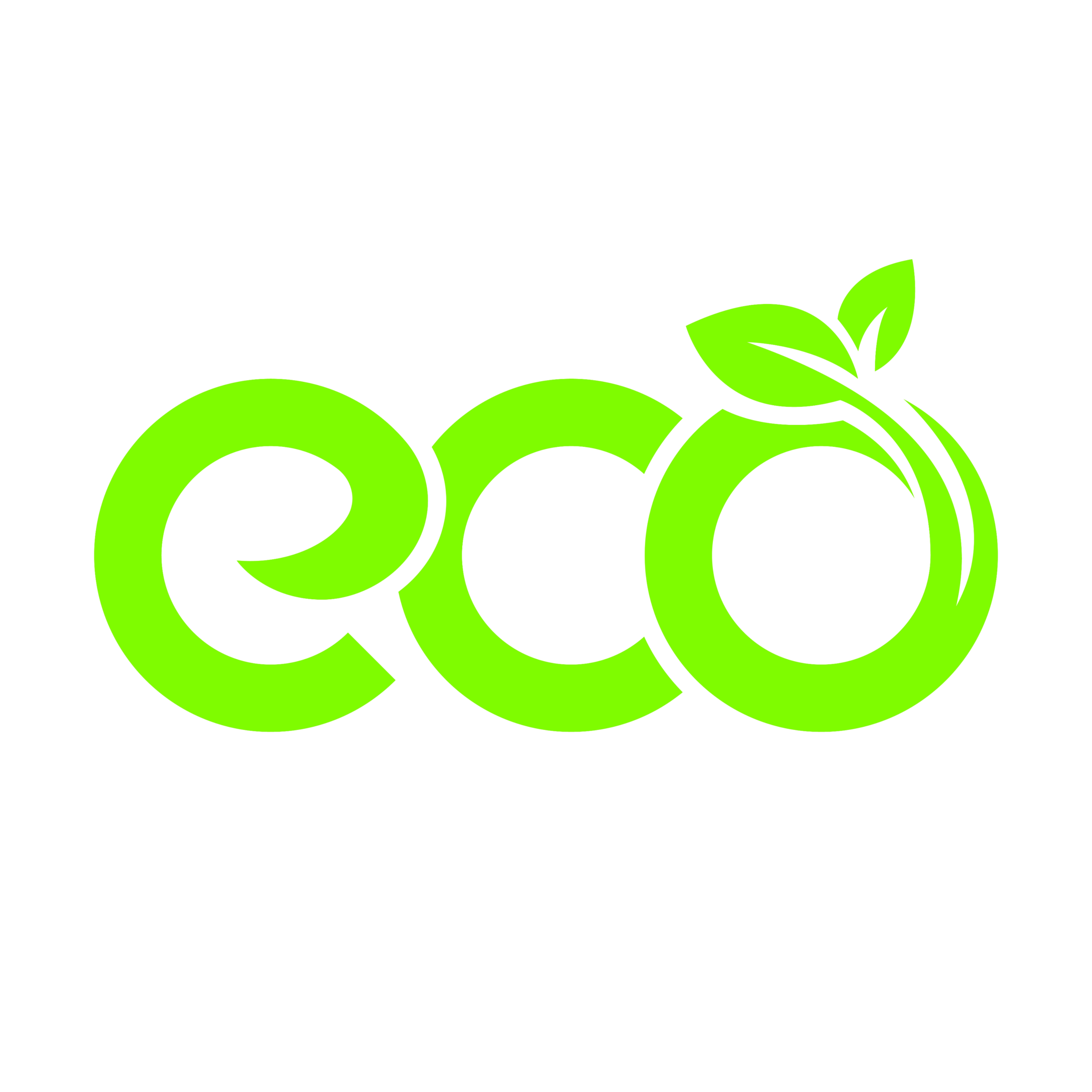 Eco Packin Printing Dongguan Co., Ltd. logo