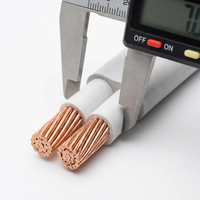 PRIMEPRO BVVB 2x6mm² Flaches Kupferkabel 300/500V PE-Isoliertes Doppeladerkabel für Wohn- und Gewerbeverkabelung