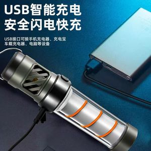 Camping Light Rechargeable Battery Warm White Tripod Stand Outdoor Lantern Type C Charging - Product Image 3