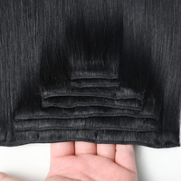 Extensions à clipser en cheveux humains Remy 100% naturels, vierges indiens bruts 12A, cuticules entièrement alignées, sans nœuds ni perte de cheveux
