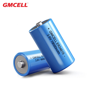 Batterie au lithium jetable ER34615 3.6V 19000mAh en gros pour la surveillance des puits pétroliers, les bouées marines et les détecteurs miniers - Product Image 1