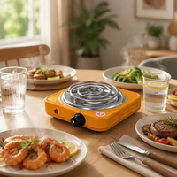 Plaque chauffante électrique portable en acier inoxydable allemand 1000W/2000W, cuisinière à serpentin pour la maison, le dortoir, le camping-car et le camping