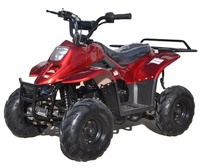 ATV Tao Motor con Rueda de 6 Pulgadas, Arranque Eléctrico, Interruptor de Apagado Remoto, ATV de Gasolina de 110cc, ATV Automático de 12V para Niños, Quad de 125cc