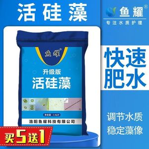 Engrais aquatique vivant à base de diatomées pour l'aquaculture, pour étangs de poissons, crevettes et crabes, chlorelle, algues vertes, graines de diatomées, origine Jiangsu - Product Image 4