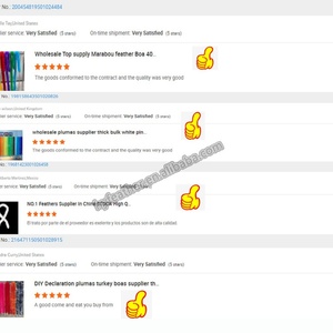 Écharpe en plumes de dinde noires teintées écologiques de 50g pour femmes, idéale pour la maison, les fêtes, les mariages, la décoration de Noël, l'artisanat, les vêtements, les costumes et les robes de danse - Product Image 5
