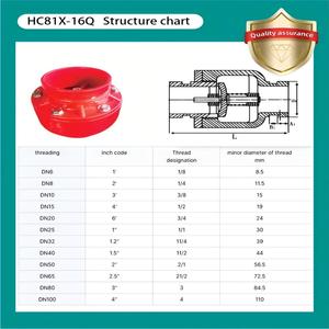 Vanne <span class=keywords><strong>de</strong></span> retenue à joint à gorge en fonte ductile à arrêt manuel silencieux HC81X-16Q pour la protection <span class=keywords><strong>de</strong></span> l'eau et l'ingénierie <span class=keywords><strong>de</strong></span> la protection incendie - Product Image 5