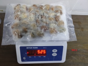 <span class=keywords><strong>หอย</strong></span>ต้มแช่แข็งสำหรับฤดูกาลใหม่ราคาดีและมีคุณภาพดี - Product Image 5