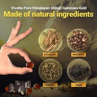 Complément alimentaire naturel puissant de qualité supérieure sous forme de bonbons gélifiés avec extrait de Shilajit pour soutenir l'énergie des adultes