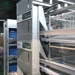 H-Type Laag Kippenlegkooi Automatische Gevogelte Uitrusting Kippen Batterijkooi Voor Laagkip - Product Image 3