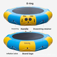 Trampoline aquatique gonflable Zhaoyue en PVC, capacité 500 kg, pour parc aquatique, aire de jeux aquatique, piscine à balles, divertissement pour enfants, 2-5 m