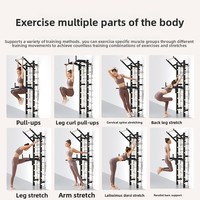 Échelle suédoise murale en acier certifiée CE et CNAS |   Rack multifonctionnel pour exercices à domicile, idéal pour la calisthénie et la rééducation