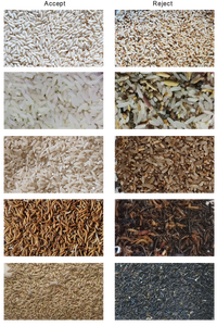 Máquina clasificadora de color de semilla de árbol de arroz de tamaño pequeño Clasificador de color de trigo Clasificación de color de granos de maní de maíz - Product Image 6