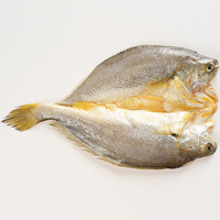 Offre Spéciale : Poisson Papillon Jaune (Petit Croaker) Congelé, Certifié HACCP, Congélation BQF, Origine Chine, Durée de Conservation 12 Mois