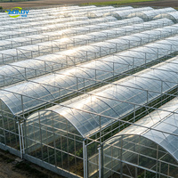 Serre tunnel multi-travées de 8 m en film plastique résistant aux UV avec ventilation enroulable