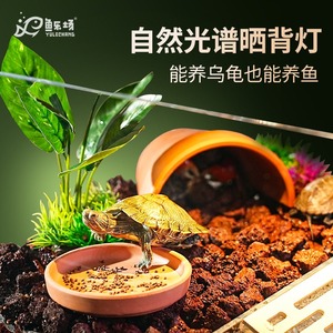 <span class=keywords><strong>Acquario</strong></span> Moderno Specializzato per Acquacoltura con Meccanismo Anti-Fuga per Allevamento <span class=keywords><strong>Tartarughe</strong></span> e Decorazione Domestica - Vendita all'Ingrosso - Product Image 4