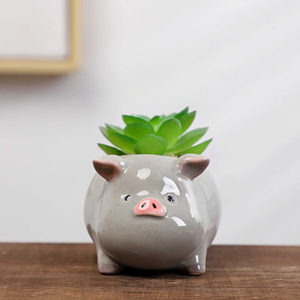 MSH Jardinière en <span class=keywords><strong>céramique</strong></span> mignonne en forme d'ormeau et de cochon, pot à succulentes de bureau, décoration de <span class=keywords><strong>jardin</strong></span> - Product Image 6